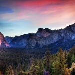 “9DM网站如何进入？详细解密入口秘籍！”