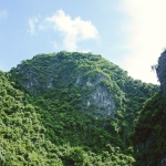 头条独家：9DM官网玖大猫mod热议