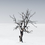 “上古卷轴最新Mod：9dm九大猫九大妈惊艳”