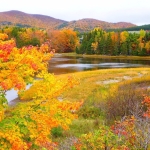 “神秘9dm世界：玖大猫MOD上古卷轴”