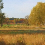 “揭秘9DM谜团解析玖大猫MOD上古卷轴”