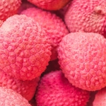 “揭秘9DM官网上古卷轴Mod攻略”