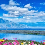 “揭秘9DM官网难进原因”